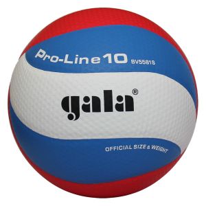 Мяч волейбольный Gala Pro-Line 10