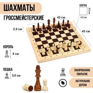 Шахматы Гроссмейстерские арт. 2879454, 430 х 430 мм, король 9 см, пешка 3,5 см, дерево