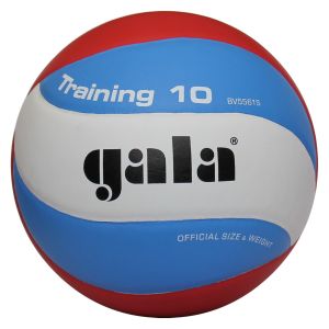 Мяч волейбольный Gala Training 10