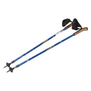 Палки для скандинавской ходьбы Ergoforce Nordic E-0673, 2-х секционные, алюм., 110 - 140 см, синий