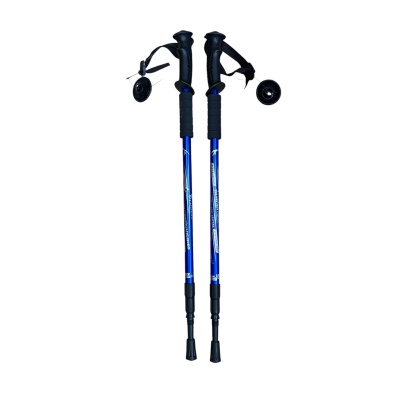 Палки для скандинавской ходьбы TANFENG 6061 GF-DS20-3, 3х-секционные, синий