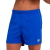 Шорты пляжные Arena Bywayx 006442-860, синий
