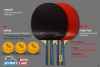 Набор для настольного тенниса Start Line Club Level 200, 2 ракетки, 3 шарика