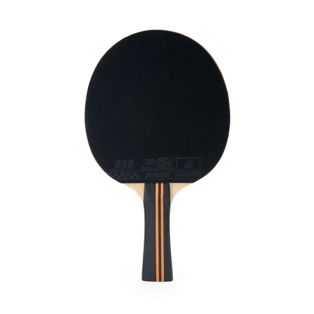 Ракетка для настольного тенниса Torres Master 3*, арт. TT23007