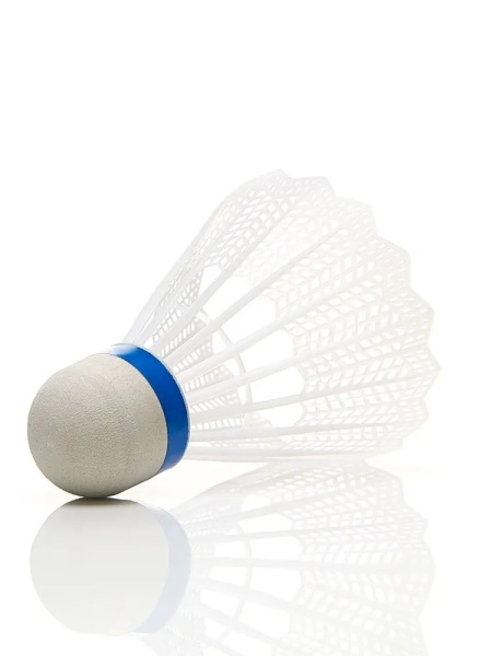 Воланы для бадминтона Torres 80 BD23107, ПВХ, упак. 6 шт., сред.скор., белый