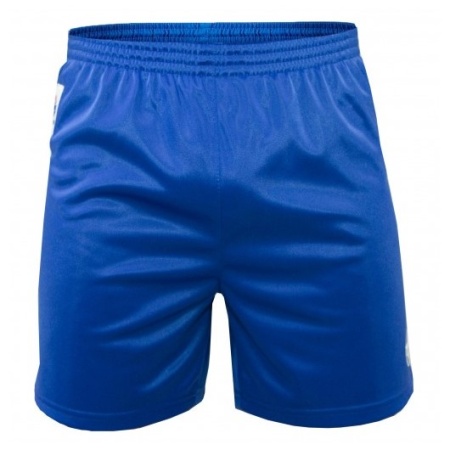 Шорты для самбо синтетические КрепышЯ FIAS