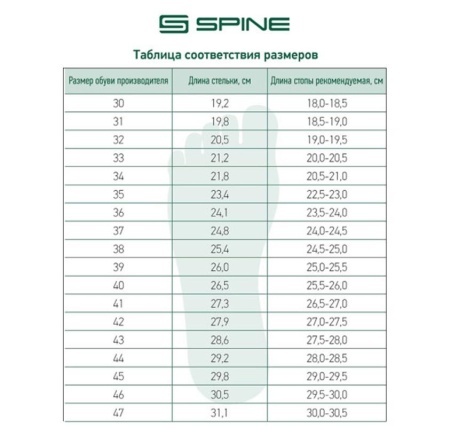 Ботинки лыжные Spine Basic 242, NNN, черный