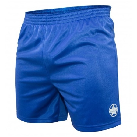 Шорты для самбо синтетические КрепышЯ FIAS