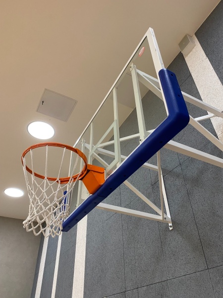 Защита на баскетбольный щит Профи, синий