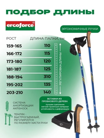 Палки для скандинавской ходьбы Ergoforce Nordic E-0673, 2-х секционные, алюм., 110 - 140 см, синий