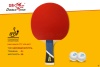 Набор для настольного тенниса Double Fish 5A+C, ITTF Appr, 1 ракетка, 2 шарика