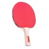 Ракетка для настольного тенниса Torres Control 10, арт. TT0001