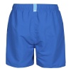 Шорты пляжные Arena Fundamentals 006444-817, синий