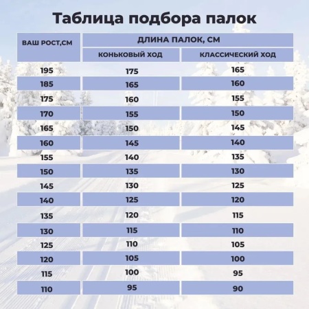 Палки лыжные STC Sport, гибрид, черный