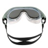 Полумаска для плавания Arena The One Mask Mirror 004308-102, серые линзы, зеленый/черный