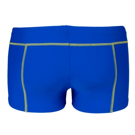 Плавки-шорты мужские Arena Pro File 006376-860, синий