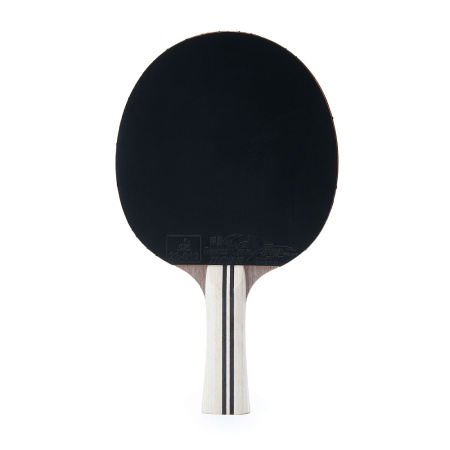 Ракетка для настольного тенниса Torres Profi 5*, арт. TT23009
