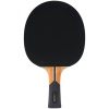Ракетка для настольного тенниса Roxel Pro Control (ЦБ-00004522)