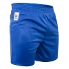 Шорты для самбо синтетические КрепышЯ FIAS, синий, разм. 54