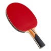 Ракетка для настольного тенниса Roxel Pro Control (ЦБ-00004522)