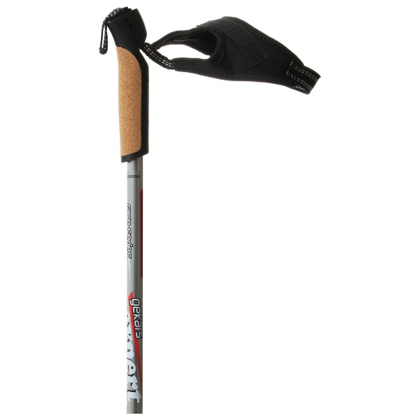 Палки лыжные Gekars Expert Plus, алюминий, серый