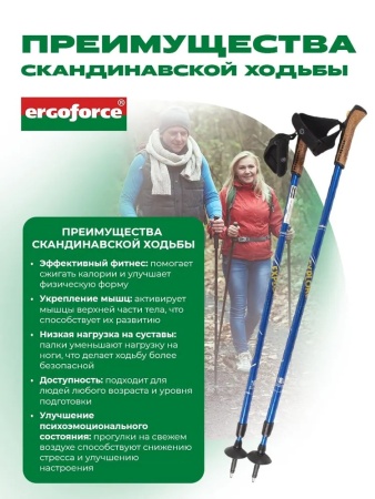 Палки для скандинавской ходьбы Ergoforce Nordic E-0673, 2-х секционные, алюм., 110 - 140 см, синий