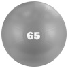 Фитбол Torres AL122165GR, 65 см, гладкий, с насосом, серый