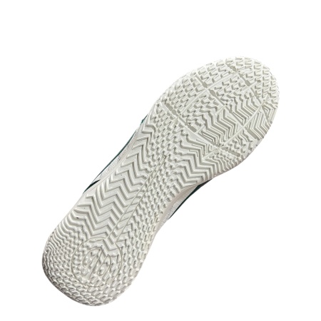 Футзалки Nike Legend 10 Academy IC FQ3241-300 (арт. 39801), белый/зеленый