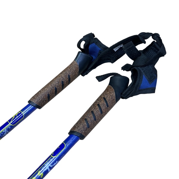 Палки для скандинавской ходьбы Gekars Asta, синий, разм. 100 см