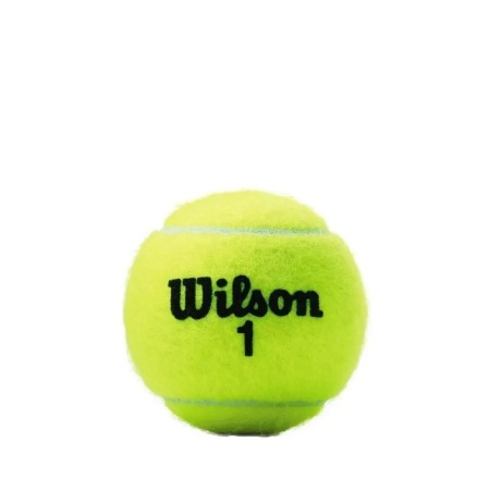Мяч для большого тенниса Wilson Championship WRT100101, 3 шт.