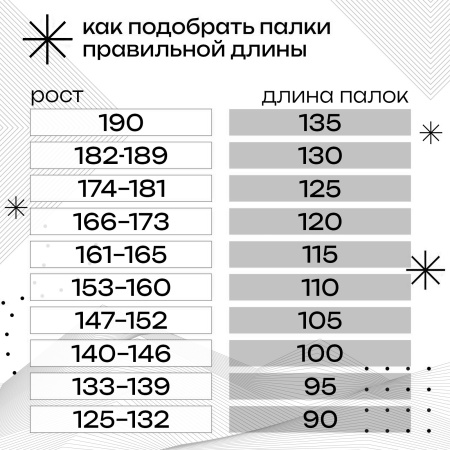 Палки лыжные Gekars Expert Plus, алюминий, серый