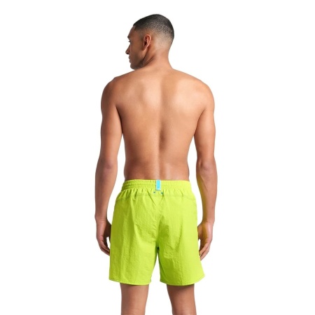 Шорты пляжные Arena Logotype 009102-663, салатовый