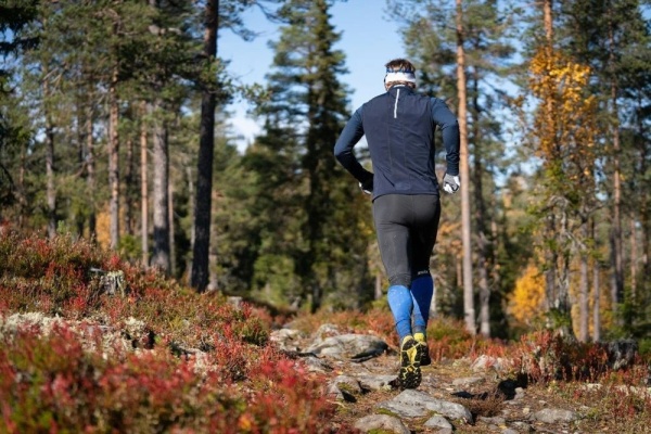 Тайтсы мужские Swix Focus 22293-10000, черный/синий