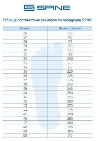 Ботинки лыжные Spine Loss 443, SNS, серый
