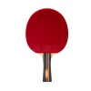 Ракетка для настольного тенниса Torres Master 3*, арт. TT23007