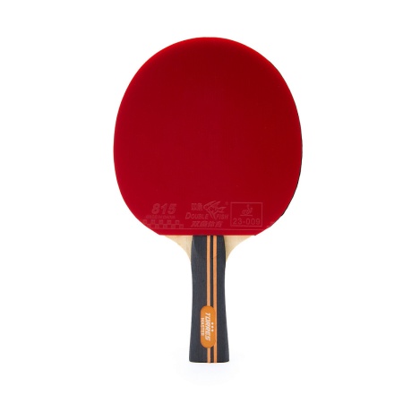 Ракетка для настольного тенниса Torres Master 3*, арт. TT23007
