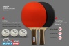 Набор для настольного тенниса Start Line Club Level 100, 2 ракетки, 3 шарика
