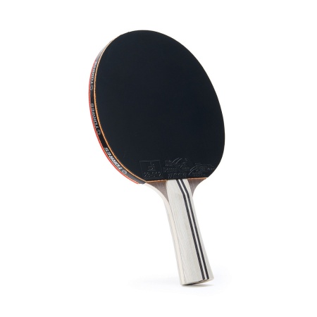 Ракетка для настольного тенниса Torres Profi 5*, арт. TT23009